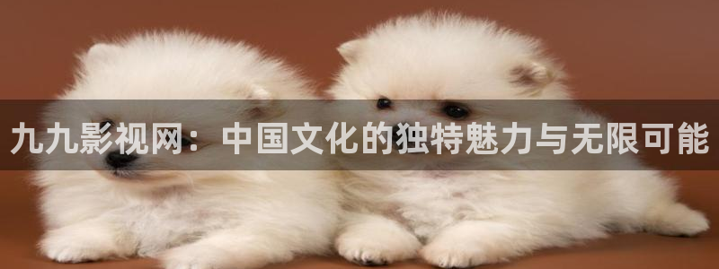 69视频在线观看一区：九九影视网：中国文化的独特魅力与无限可能