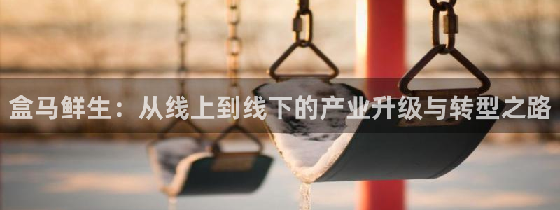 69视频页码：盒马鲜生：从线上到线下的产业升级与转型之路