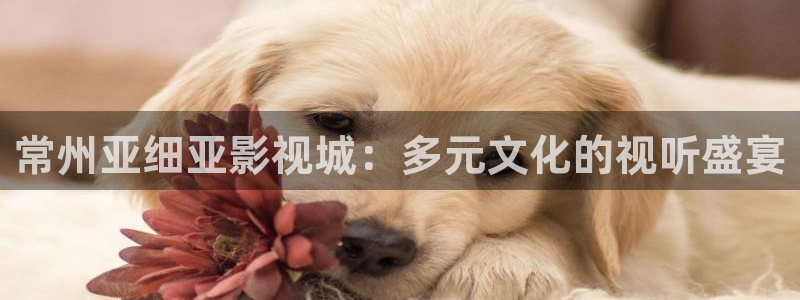 日本久久久69视频：常州亚细亚影视城：多元文化的视听盛宴