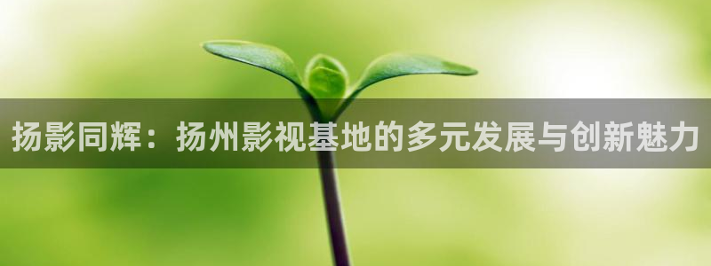 xx 69视频：扬影同辉：扬州影视基地的多元发展与创新魅力