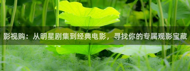 69视频网在线观看：影视购：从明星剧集到经典电影，寻找你的专属观影宝藏