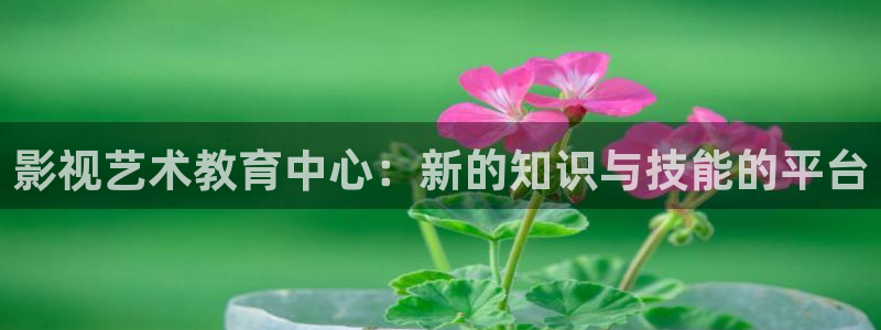 日本69视频分类：影视艺术教育中心：新的知识与技能的平台