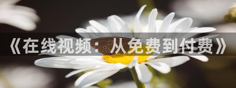 日本69视频xxx：《在线视频：从免费到付费》